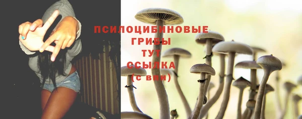 мяу мяу мука Арсеньев